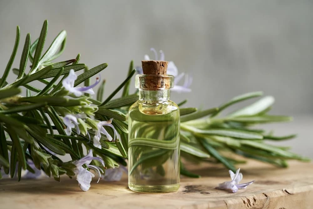 Rosemary Essential Oil